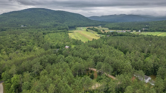 19 Pine Haven Ln, Bethel, ME 04217 - photo 101