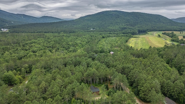 19 Pine Haven Ln, Bethel, ME 04217 - photo 102