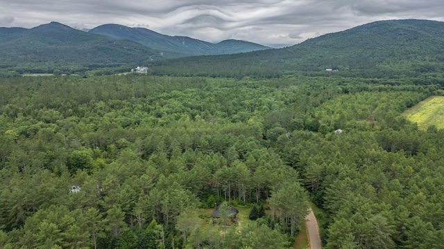 19 Pine Haven Ln, Bethel, ME 04217 - photo 103