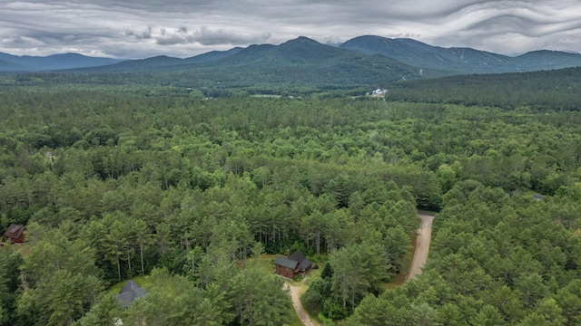 19 Pine Haven Ln, Bethel, ME 04217 - photo 104