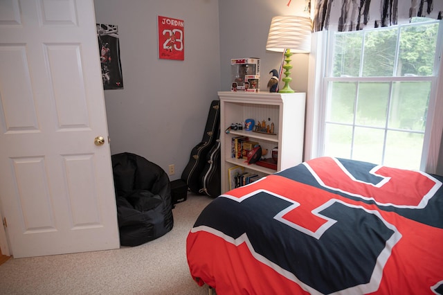 153 Dead River Rd, Bowdoin, ME 04287 - photo 40