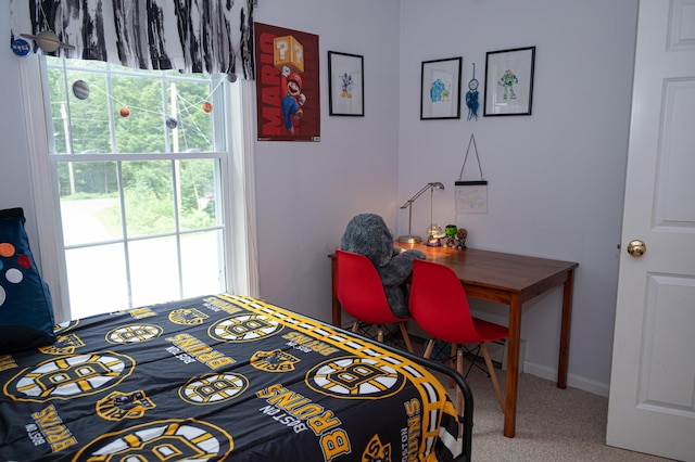 153 Dead River Rd, Bowdoin, ME 04287 - photo 35