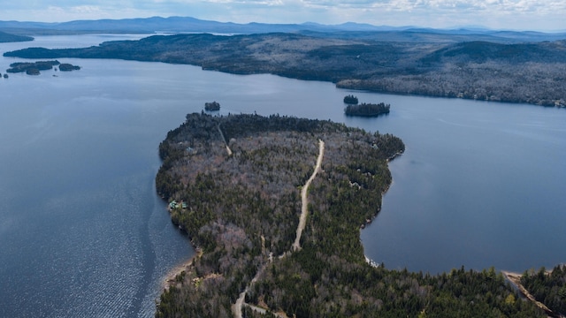 0 Pleasant Island Rd, Adamstown Twp, ME 04970 - photo 2
