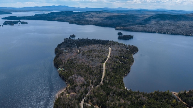 0 Pleasant Island Rd, Adamstown Twp, ME 04970 - photo 3