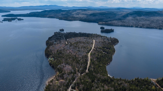 0 Pleasant Island Rd, Adamstown Twp, ME 04970 - photo 4