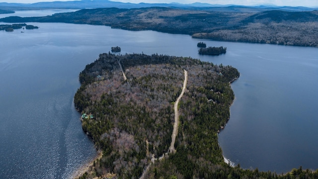 0 Pleasant Island Rd, Adamstown Twp, ME 04970 - photo 7