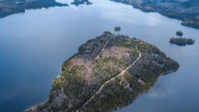 0 Pleasant Island Rd, Adamstown Twp, ME 04970 - photo 9