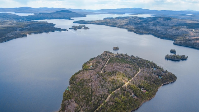0 Pleasant Island Rd, Adamstown Twp, ME 04970 - photo 11