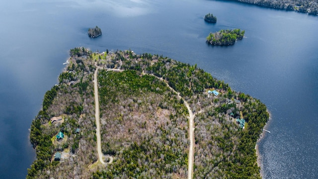 0 Pleasant Island Rd, Adamstown Twp, ME 04970 - photo 67