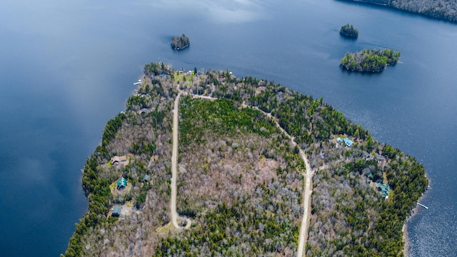 0 Pleasant Island Rd, Adamstown Twp, ME 04970 - photo 68