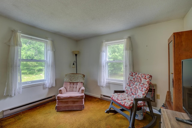 848 Bridgton Rd, Sebago, ME 04029 - photo 22