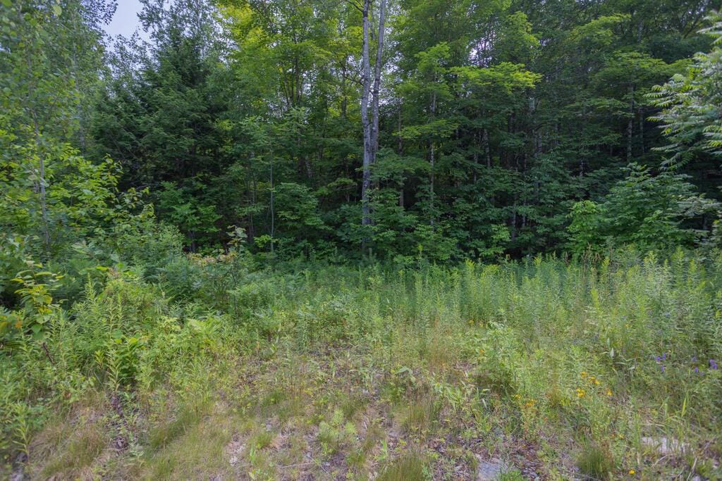 248 Phillips Rd, Strong, ME 04983 - photo 1