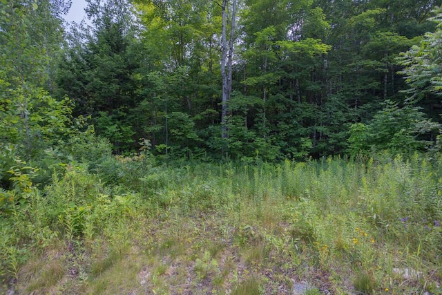 248 Phillips Rd, Strong, ME 04983 - photo 1