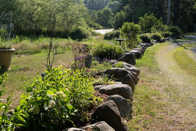 614 Gouldsboro Point Rd, Gouldsboro, ME 04607 - photo 11