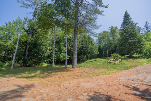 266 Phillips Rd, Strong, ME 04983 - photo 29