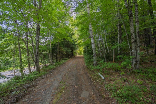 266 Phillips Rd, Strong, ME 04983 - photo 38