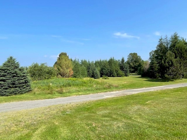 1 Halfway Brook Rd, Jackman, ME 04945 - photo 4