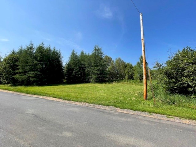 1 Halfway Brook Rd, Jackman, ME 04945 - photo 5