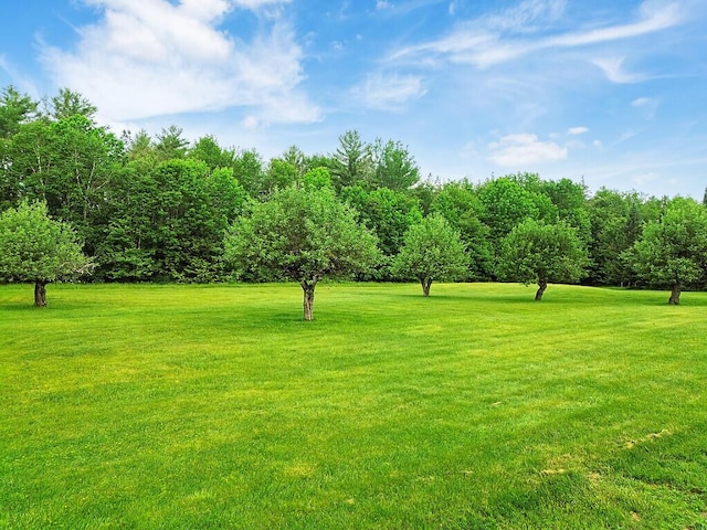 71 Winthrop Center Rd, Winthrop, ME 04364 - photo 6