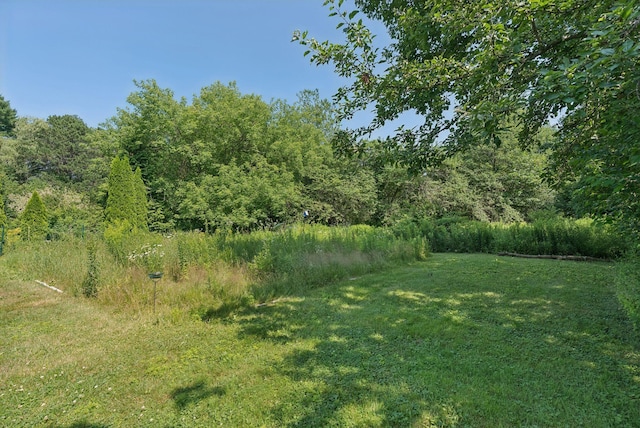 215 Maine Ave, Portland, ME 04103 - photo 26