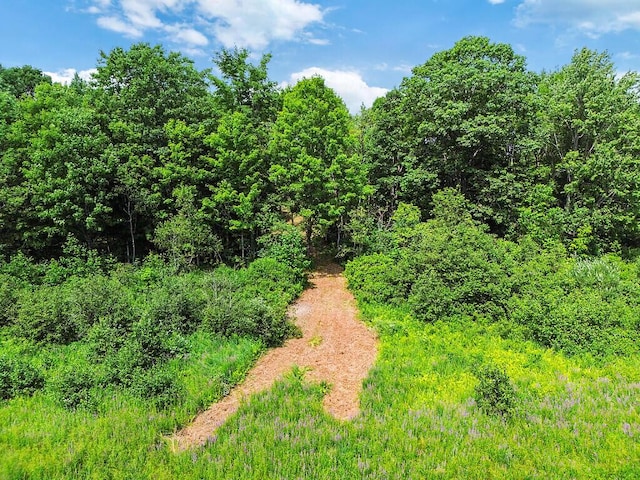 TBD Webber Pond Rd, Vassalboro, ME 04989 - photo 15
