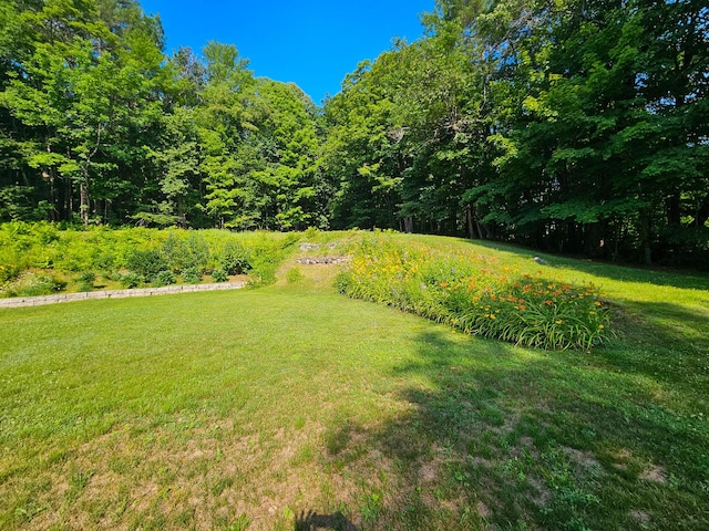 175 Village View St, Wilton, ME 04294 - photo 74