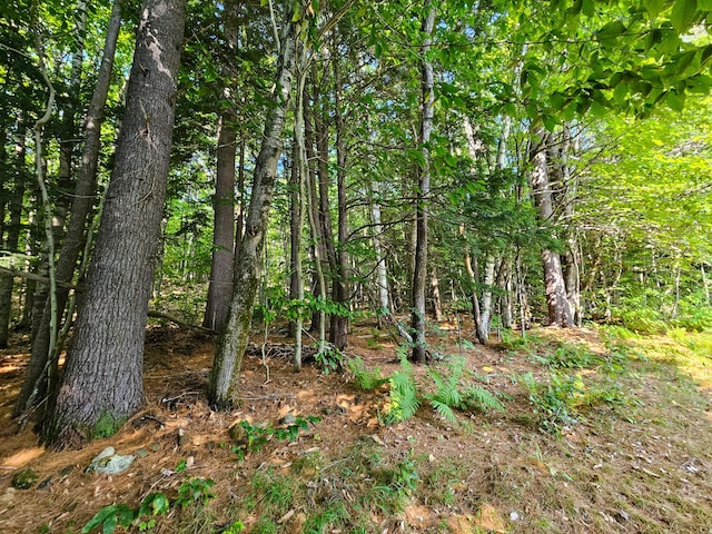 175 Village View St, Wilton, ME 04294 - photo 79