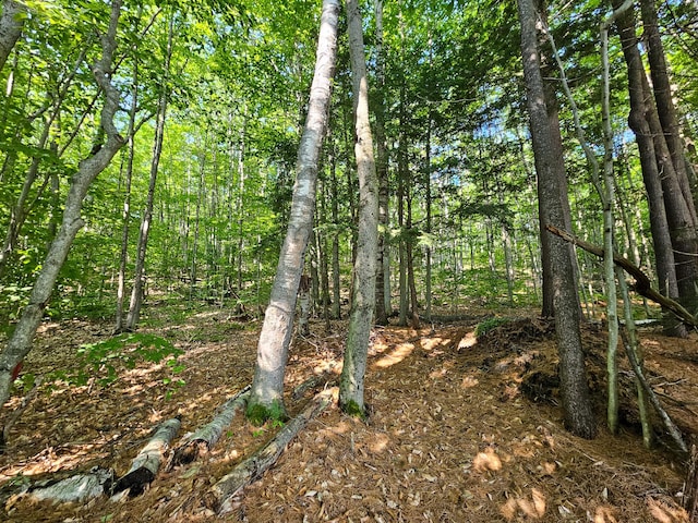 175 Village View St, Wilton, ME 04294 - photo 80