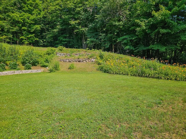 175 Village View St, Wilton, ME 04294 - photo 17