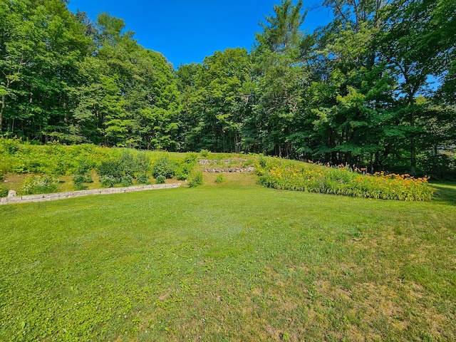 175 Village View St, Wilton, ME 04294 - photo 75