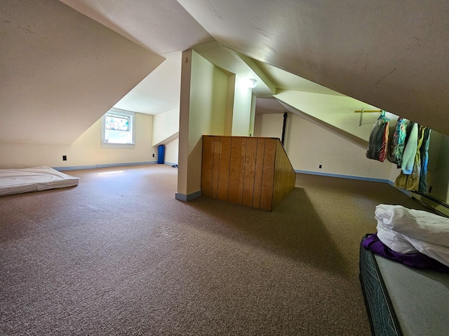 175 Village View St, Wilton, ME 04294 - photo 50