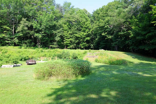 175 Village View St, Wilton, ME 04294 - photo 77