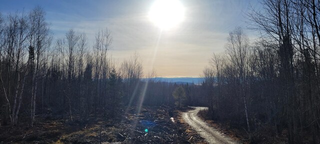 17-1 Sugar Hill Rd, Eastbrook, ME 04634 - photo 1