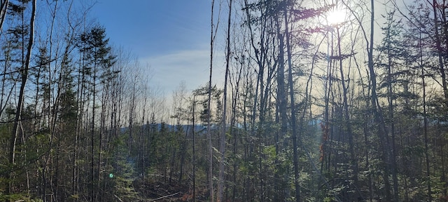 17-1 Sugar Hill Rd, Eastbrook, ME 04634 - photo 2