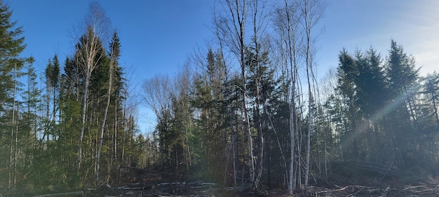 17-1 Sugar Hill Rd, Eastbrook, ME 04634 - photo 3