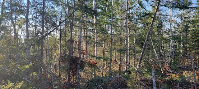 17-1 Sugar Hill Rd, Eastbrook, ME 04634 - photo 5
