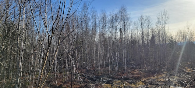 17-1 Sugar Hill Rd, Eastbrook, ME 04634 - photo 6