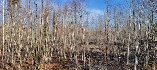 17-1 Sugar Hill Rd, Eastbrook, ME 04634 - photo 7