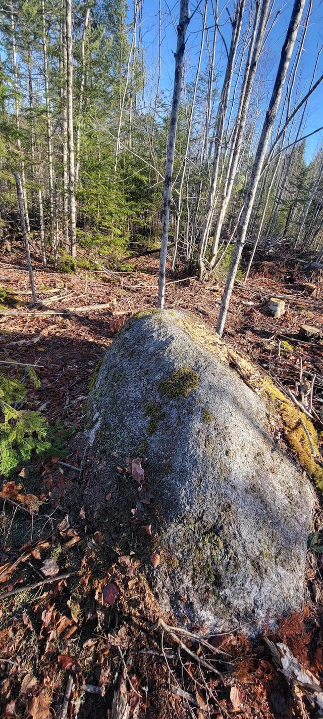 17-1 Sugar Hill Rd, Eastbrook, ME 04634 - photo 21