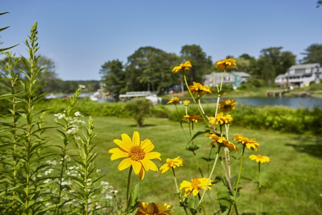 9 Riverview Dr Unit 1, York, ME 03909 - photo 44