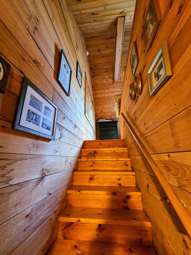 669 Dallas Hill Rd, Rangeley, ME 04970 - photo 53