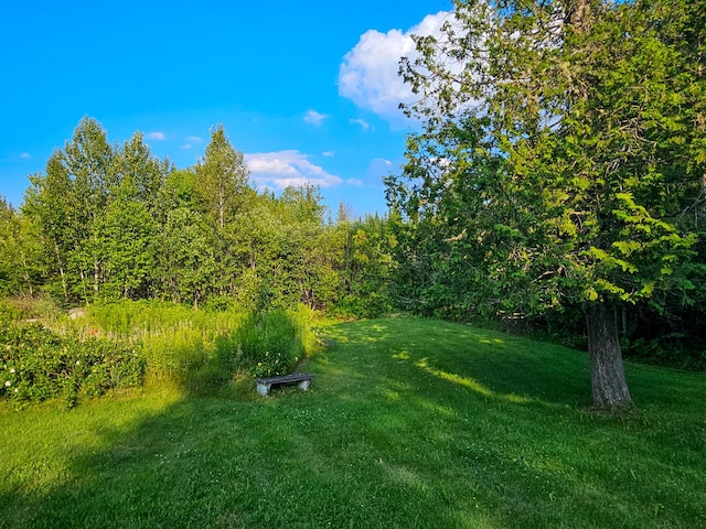 669 Dallas Hill Rd, Rangeley, ME 04970 - photo 108