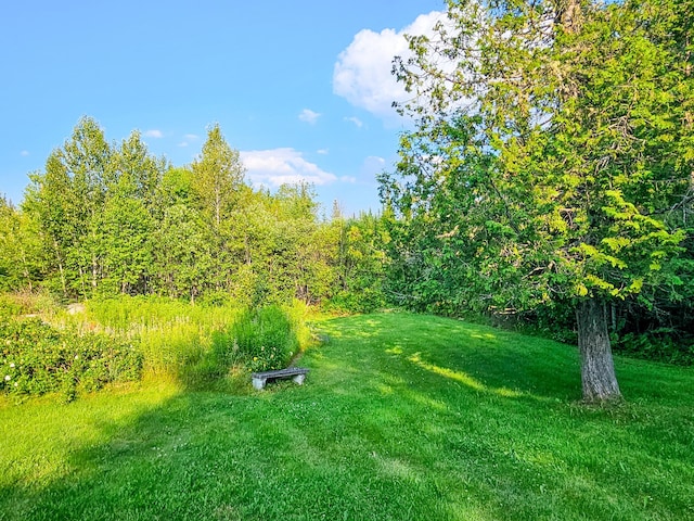 669 Dallas Hill Rd, Rangeley, ME 04970 - photo 119