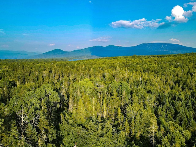 669 Dallas Hill Rd, Rangeley, ME 04970 - photo 127
