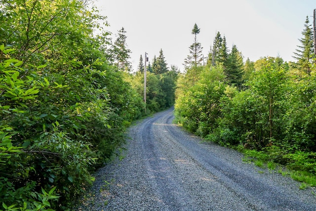 669 Dallas Hill Rd, Rangeley, ME 04970 - photo 100