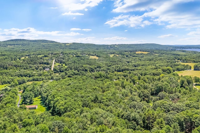 LOT27 Town Hill Rd, Appleton, ME 04862 - photo 5