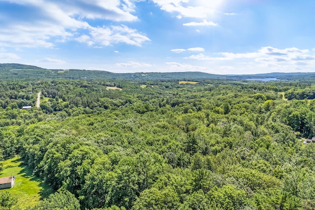 LOT27 Town Hill Rd, Appleton, ME 04862 - photo 6