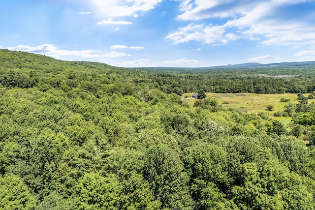 LOT27 Town Hill Rd, Appleton, ME 04862 - photo 8