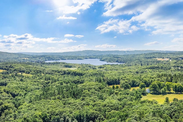 LOT27 Town Hill Rd, Appleton, ME 04862 - photo 3