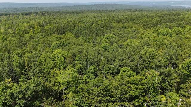 LOT22-03 Vigue Rd, Hartland, ME 04943 - photo 1